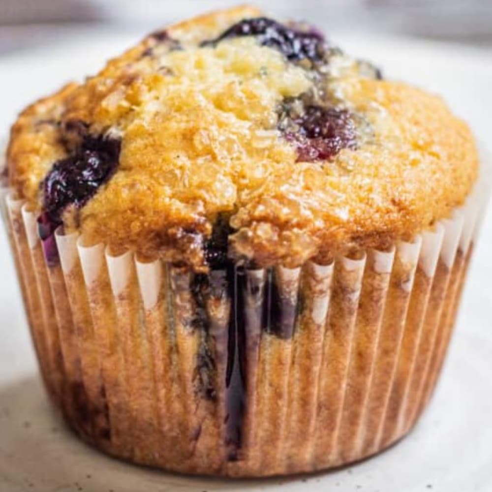 Blueberry Muffin