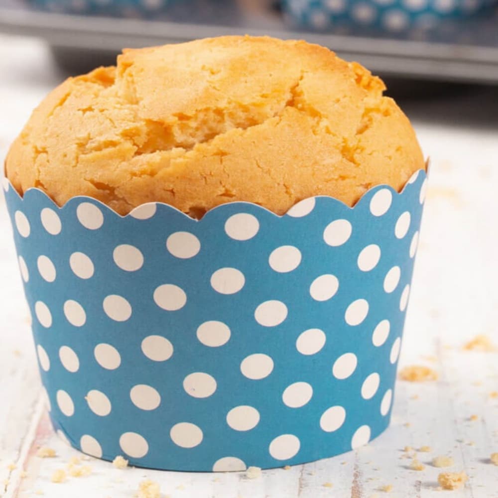 Vanilla Muffin